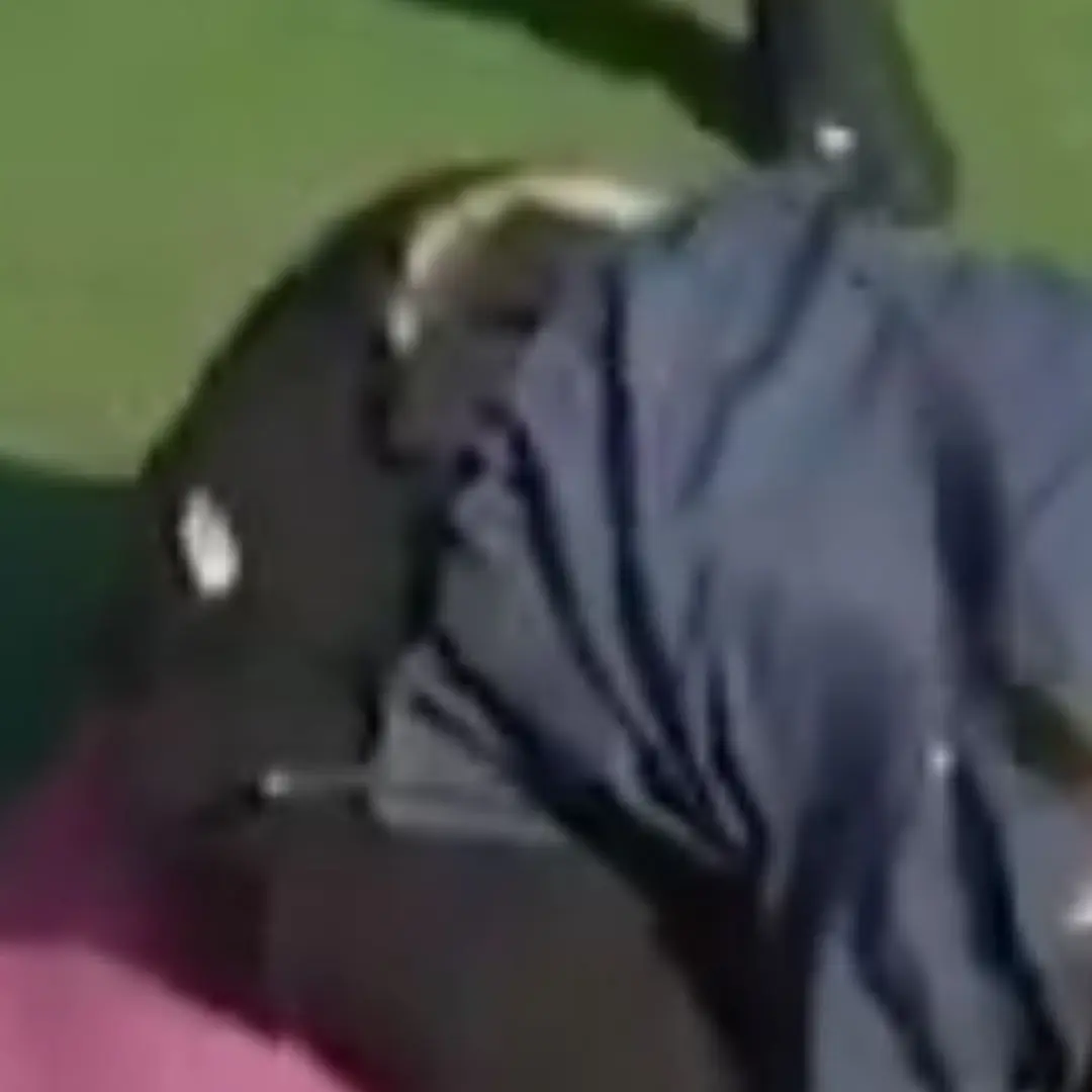 BigCream9265의 아이브 이서