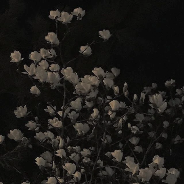운동부