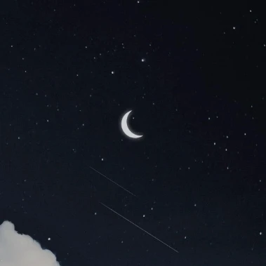 오로라의밤