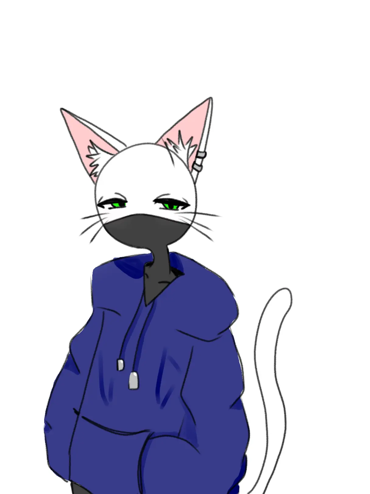 misa_san의 The Cat-Beastmate Classmate