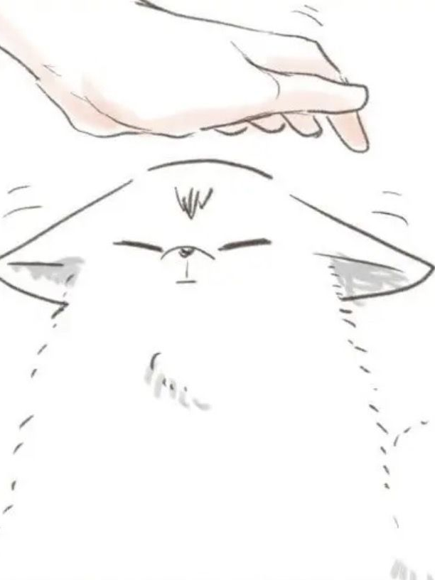 1365244 대표 이미지