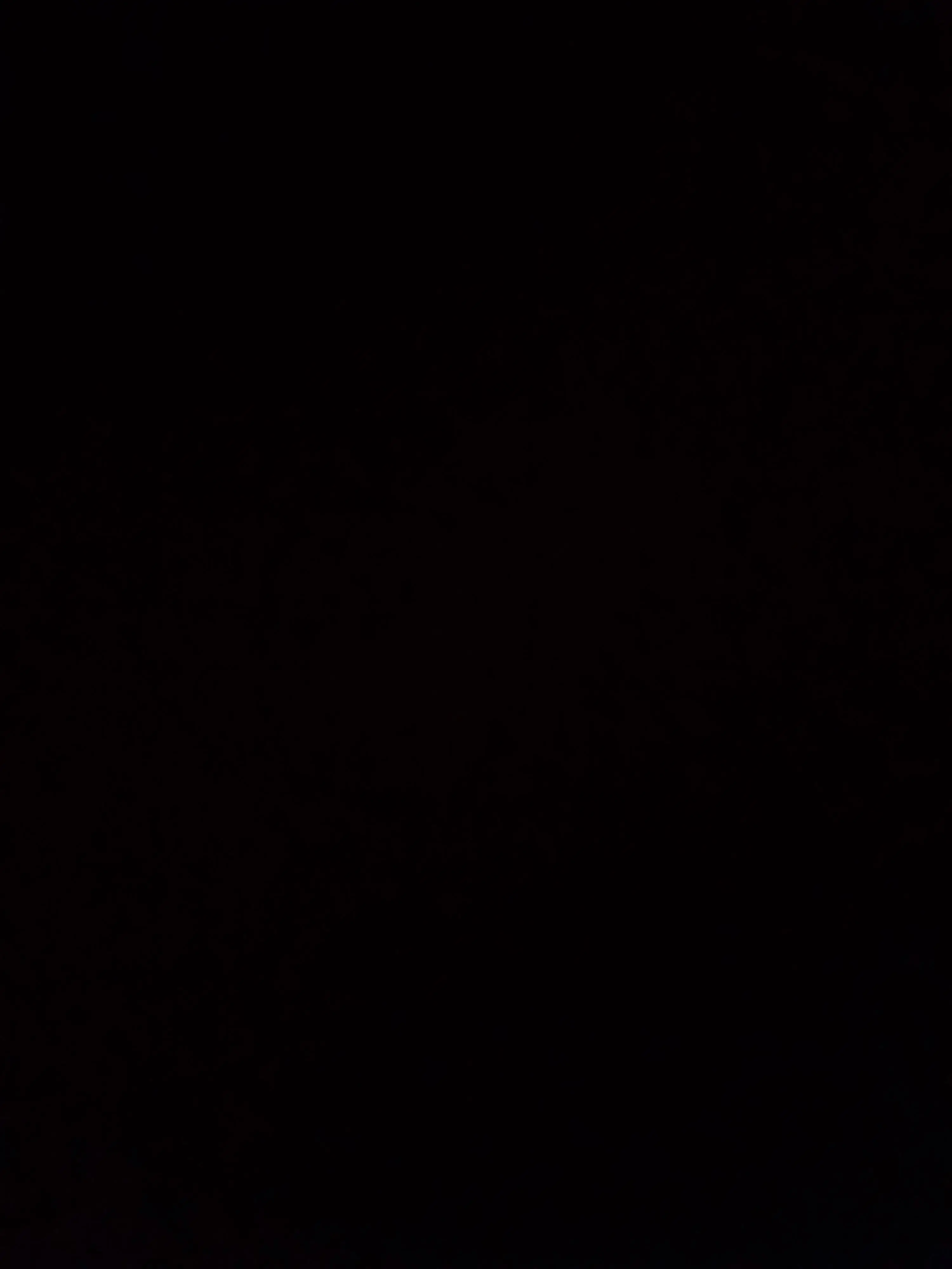 FlushBid9795의 뜰팁 조선시대