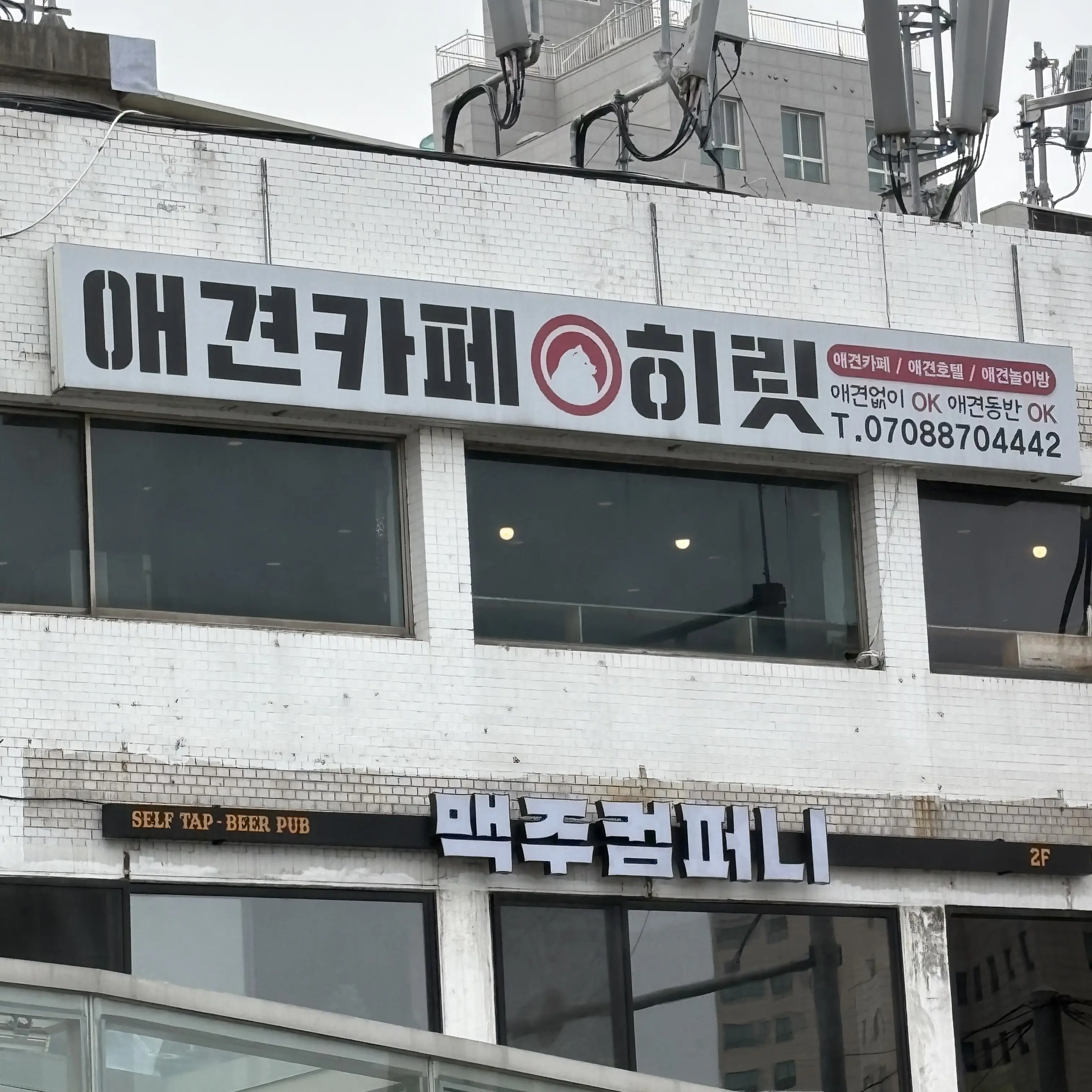 SoreFart204050의 히릿애견카페 놀러가기 !
