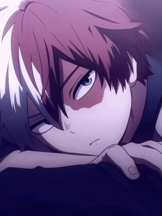 Novachanz의 Shoto Todoroki
