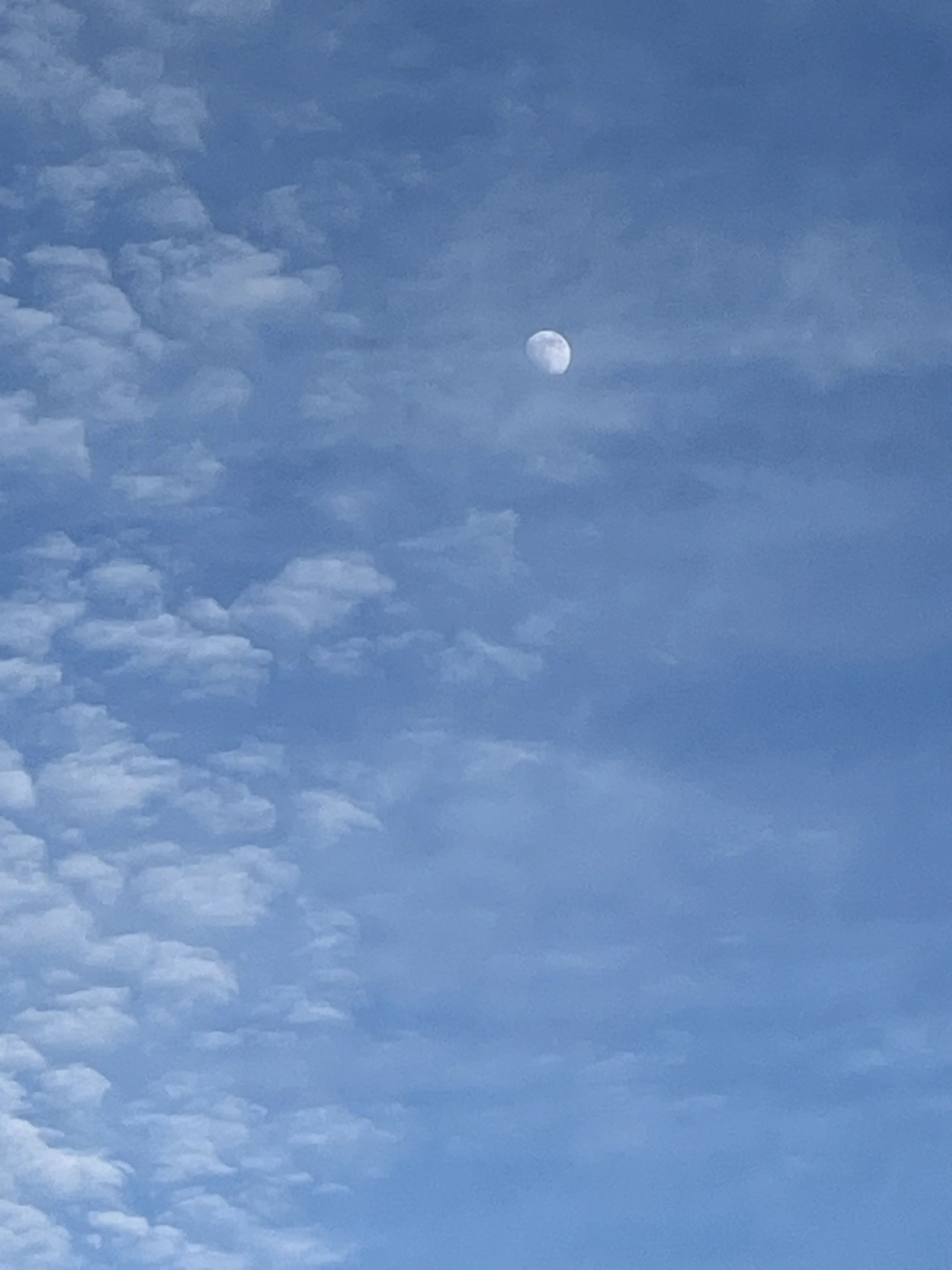 SalmonPound6471의 스티치