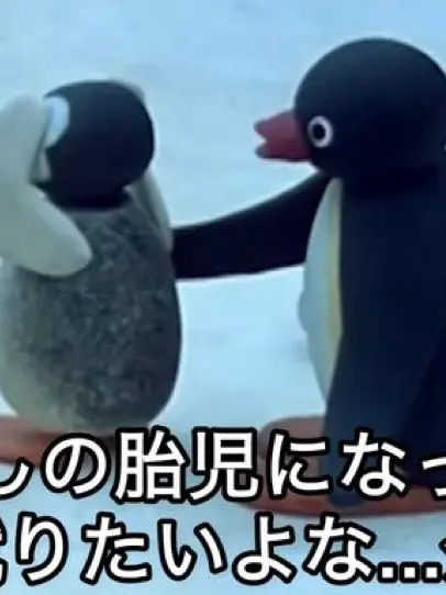 noruhazaku의 ソラ