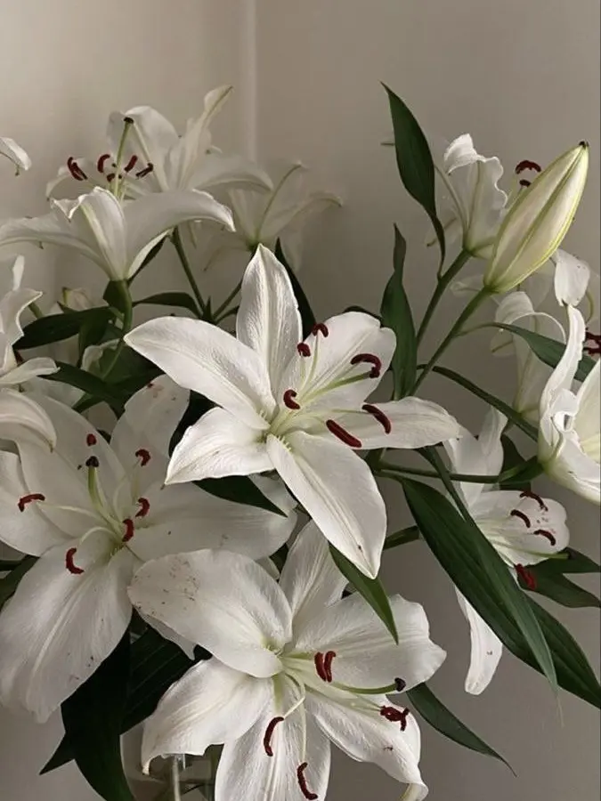 Kiden11의 저는 미워할 수 없는 악역이 좋아요