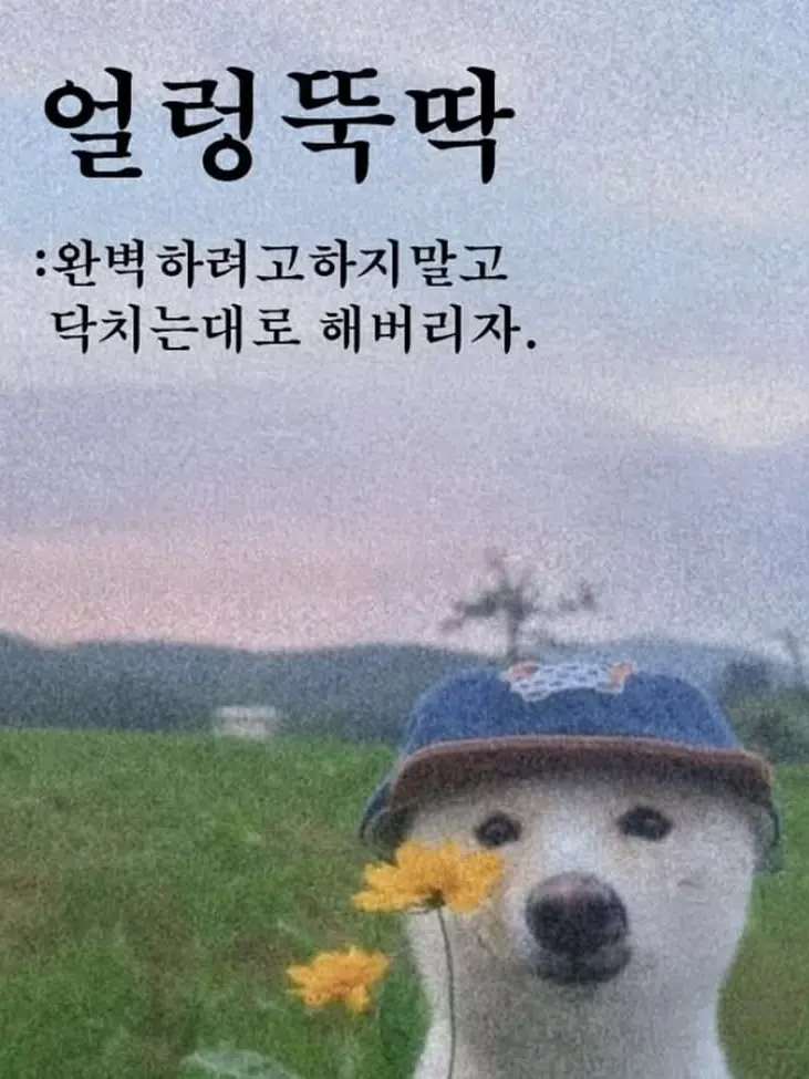 LinearSpray4848의 자고 일어났더니...