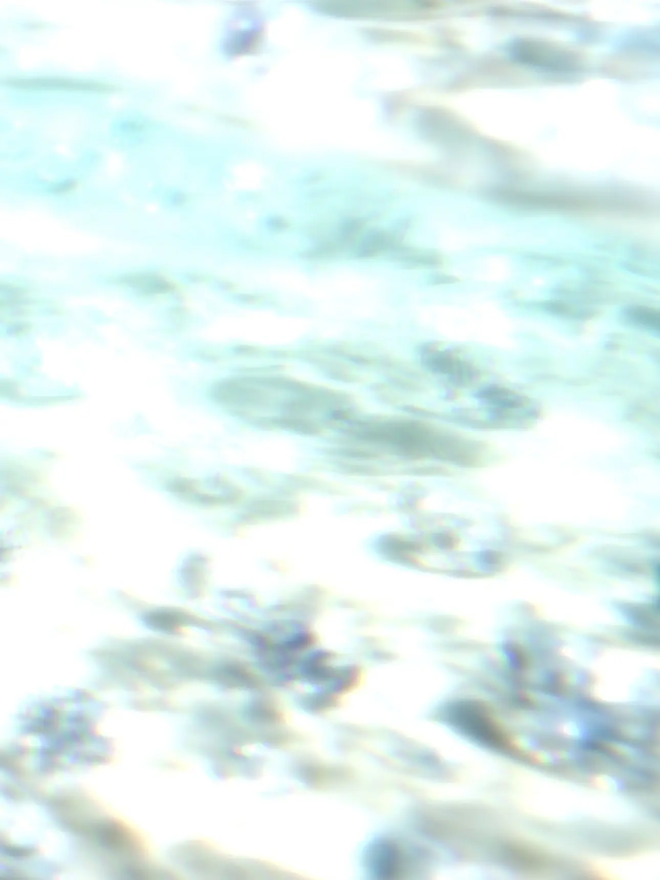 runa______222222의 海を映す目
