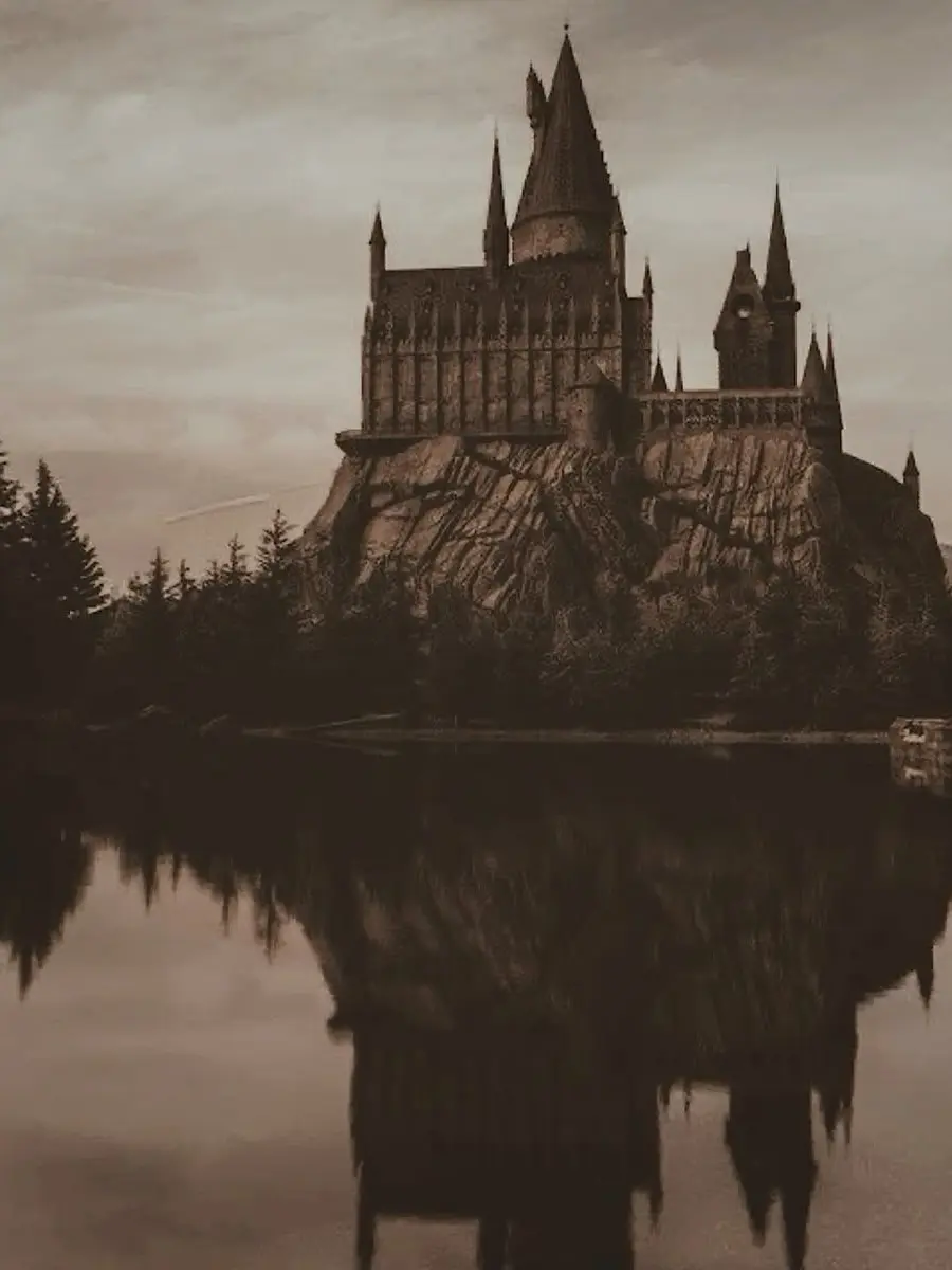 blooming.numinous의 New Student @ Hogwarts