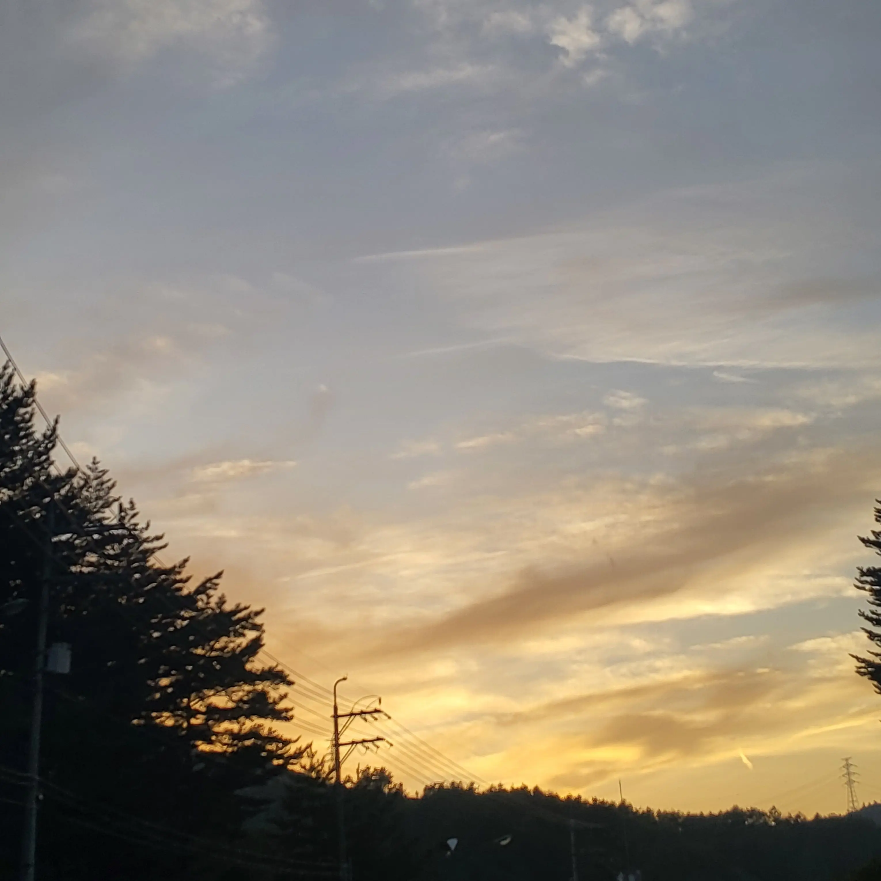 Ozzy의 천사의 악마