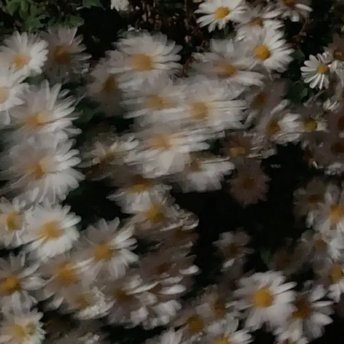 Tiramisu1009의 이렇게 하는 게 맞는 걸까?