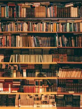 C4fe_.38의 静かな図書館 .*˚