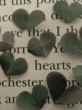 _o0.0o_의 아카아시랑 신혼 즐기기