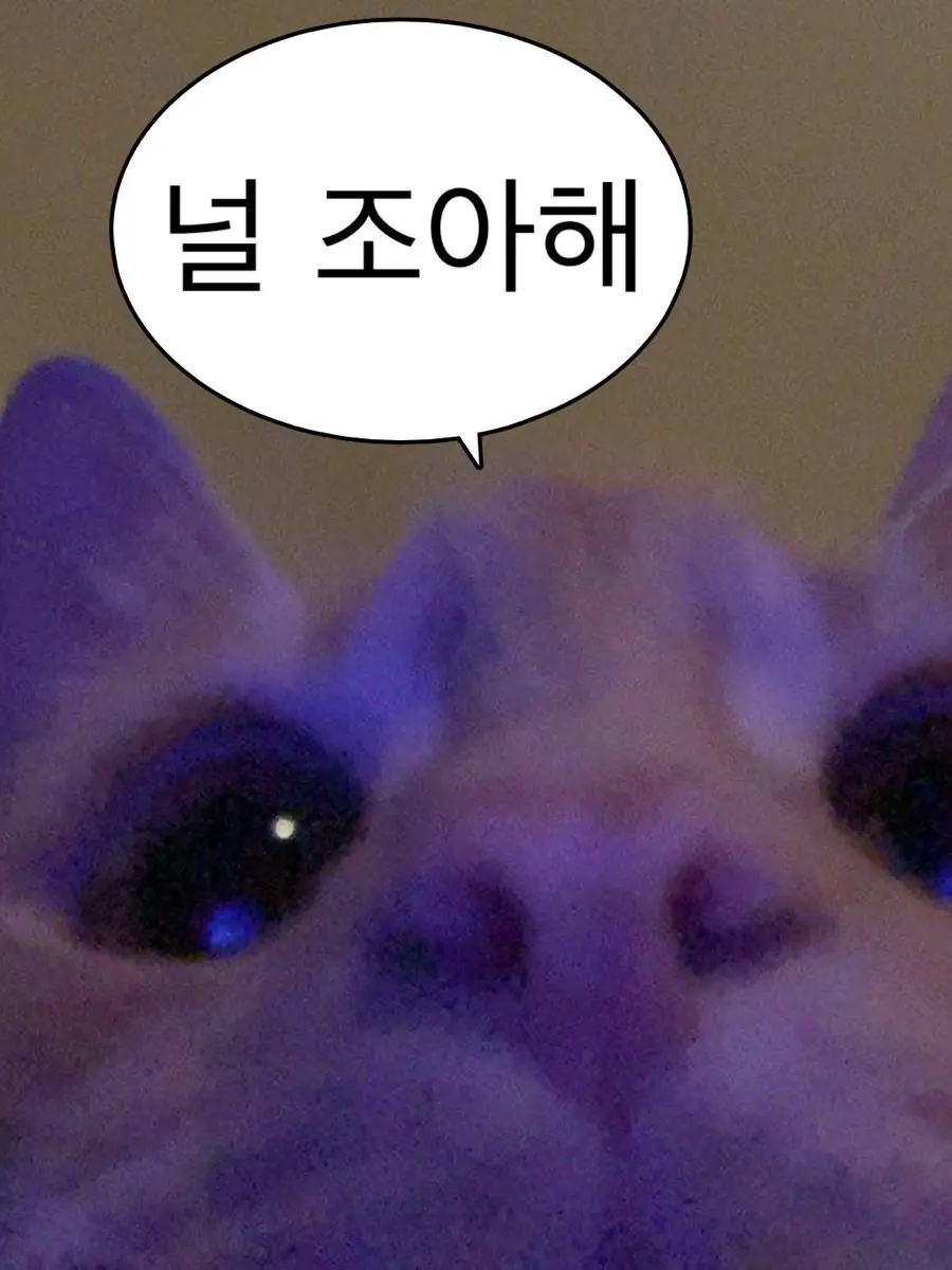 Pws_korea의 나만 봐.