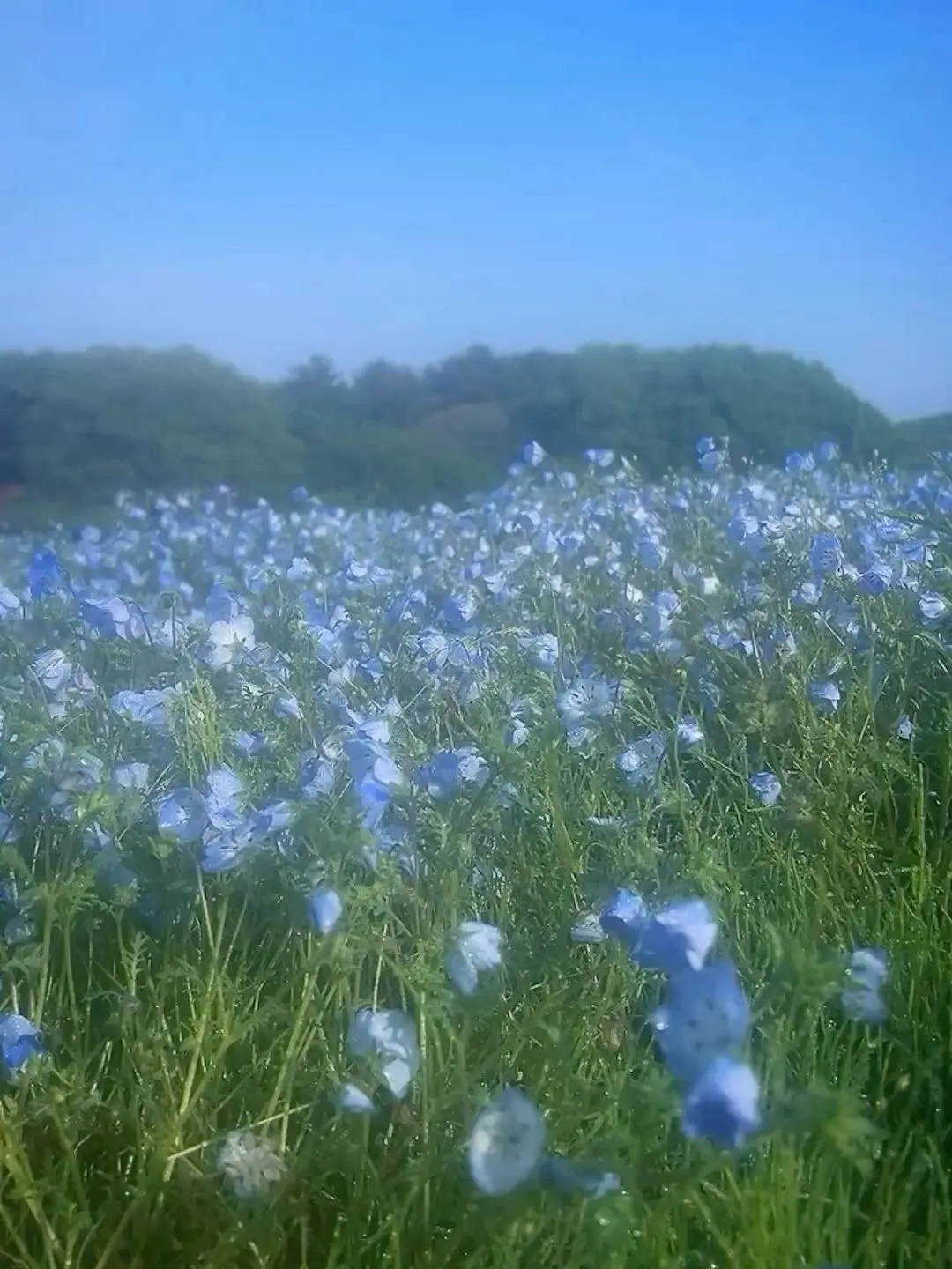 RealDorgi6173의 この夏、夢に支配されて。