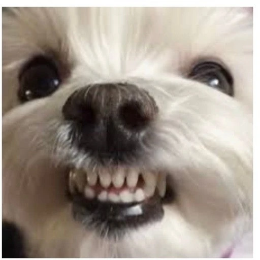 "최악"