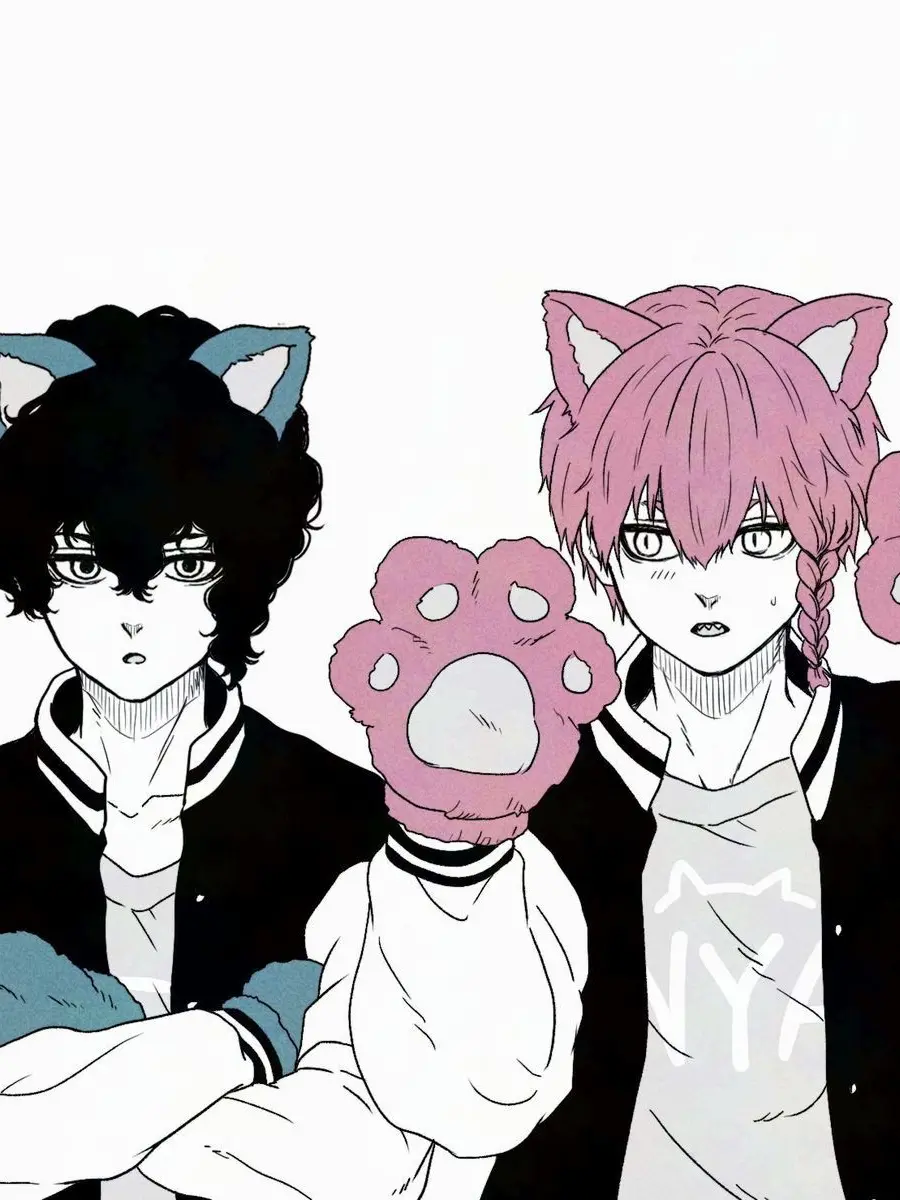 Yereong의 버려진 고양이들을 데려왔다..?