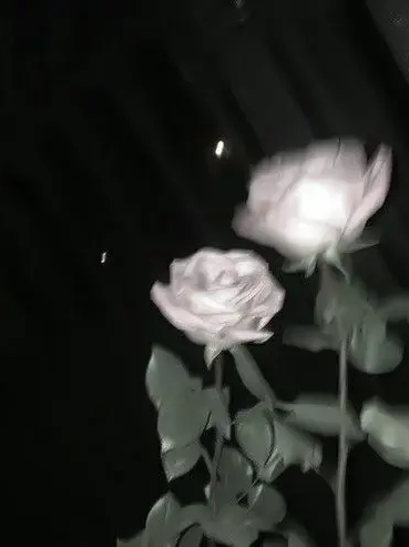 🏰 컨휴 왕국 👑 대표 이미지
