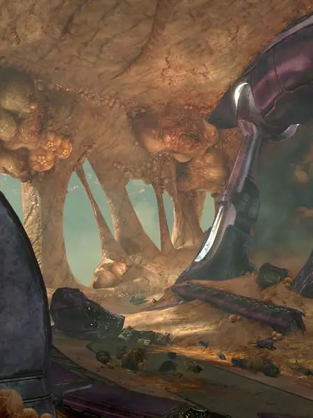 FutureHare3598의 High Charity