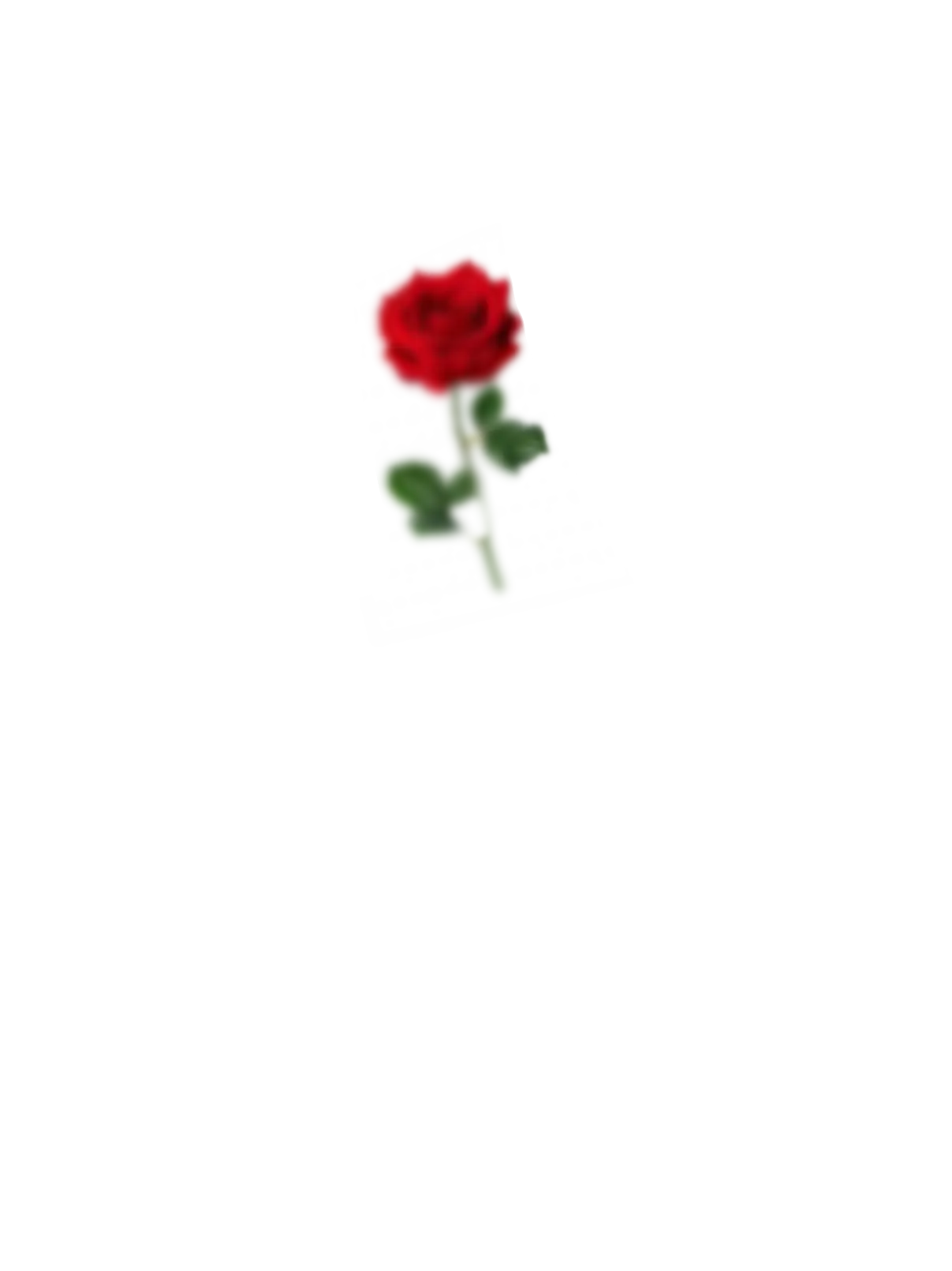 3653900000의 야르합니다 야르팀