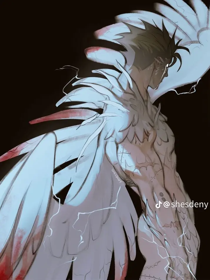 HotJakey의 Wings & Webs
