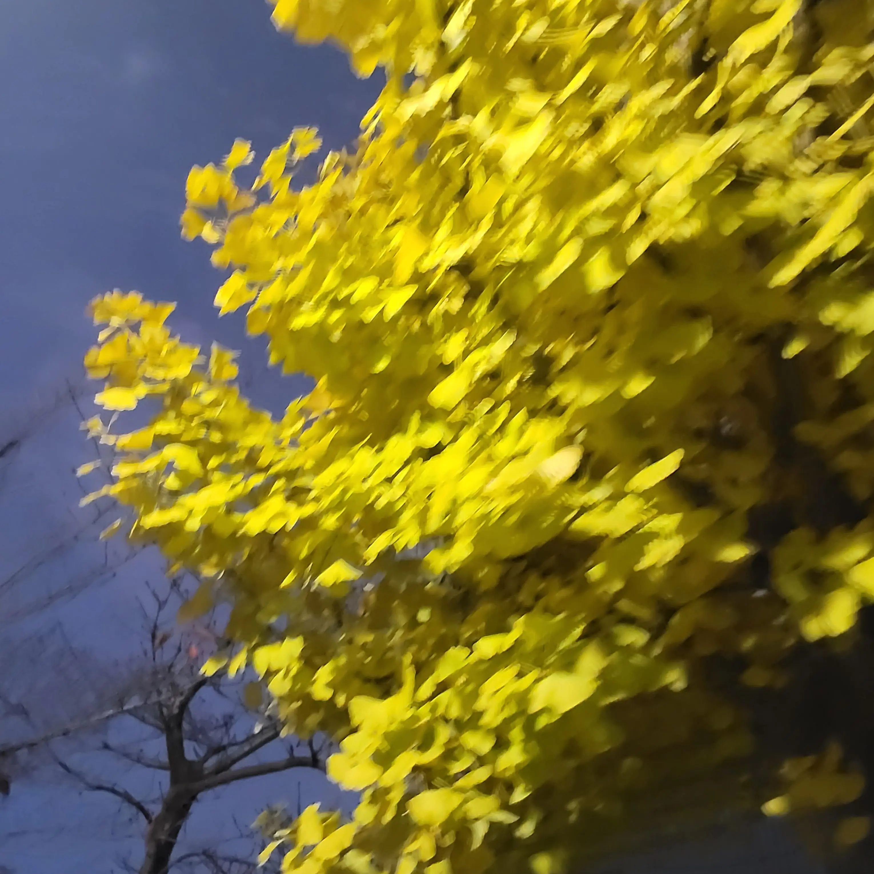 BiasedSack7799의 전건우