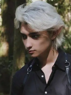 CroakyKnife6395의 Danny phantom