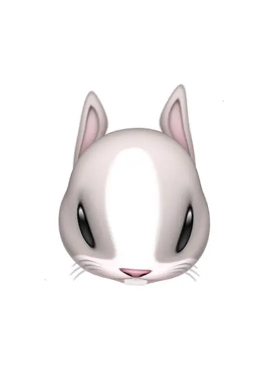 yyyn.seo_o의 남녀무리