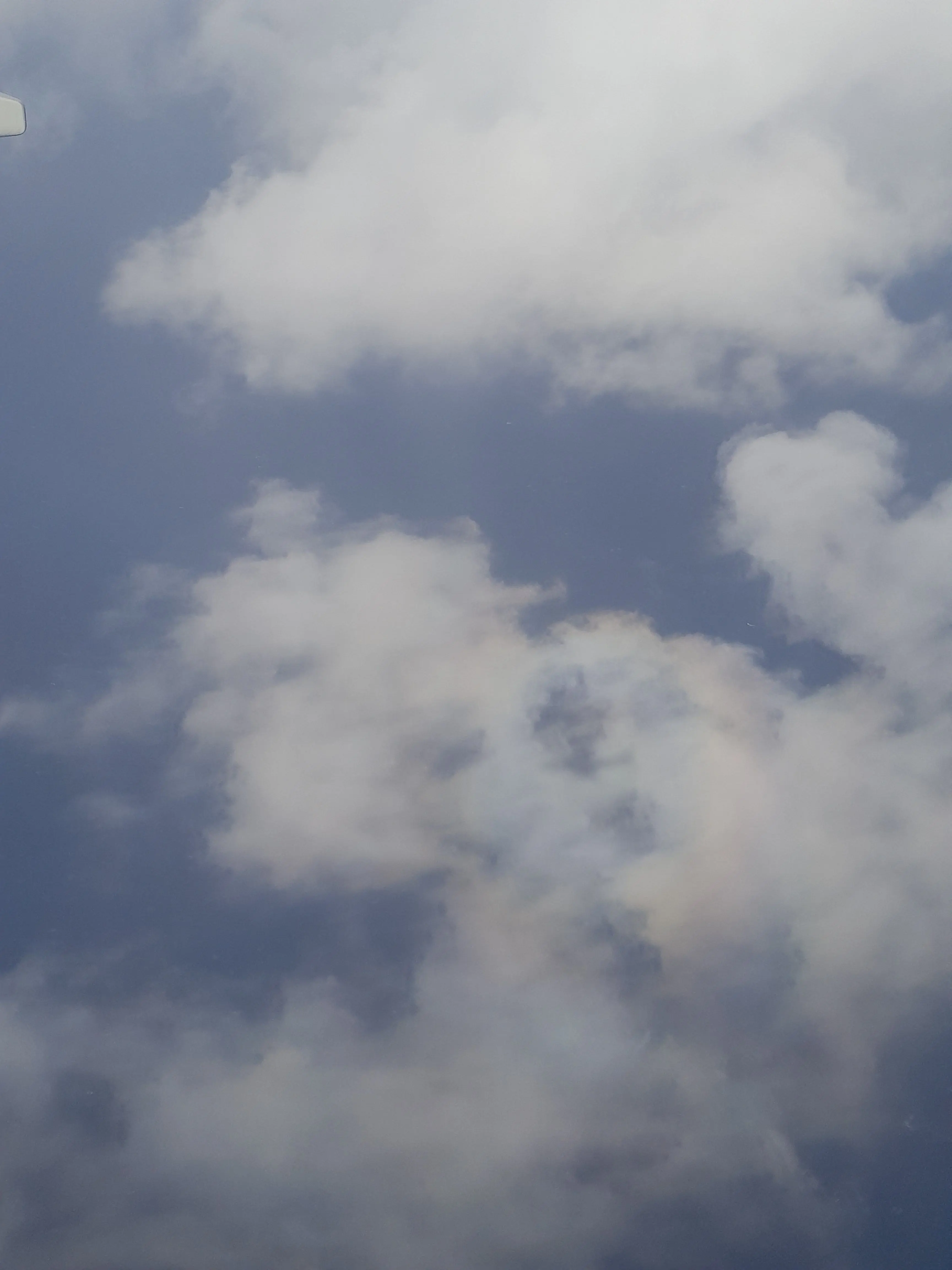 pixely_love_0712의 미스터리 수사반