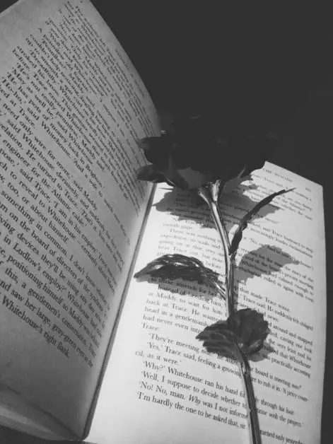 clover._.의 [미수반] 다시 만난 옛 동료들