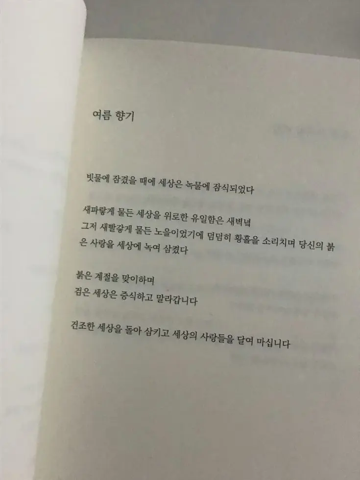 summer.shine의 世界は恋に落ちている