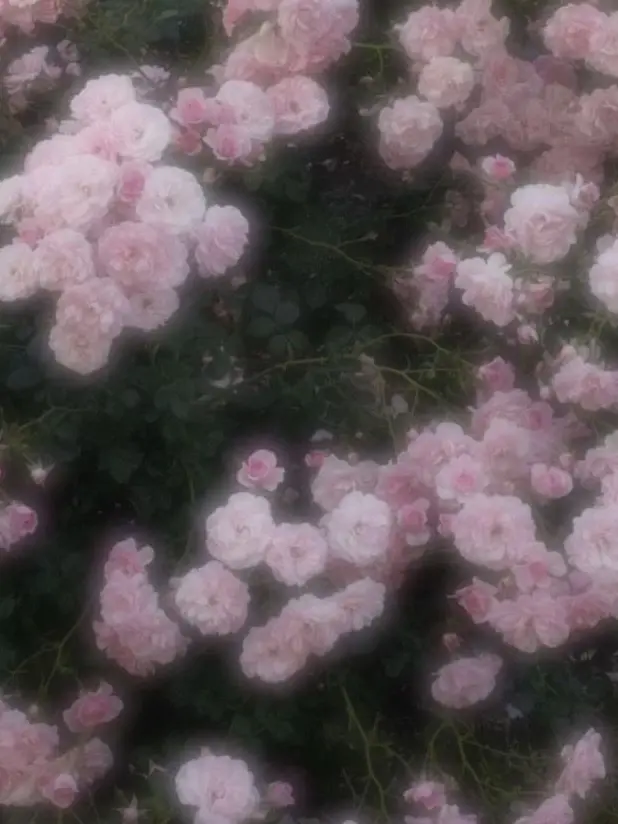 KANNA1558의 냉혹한 전학생__