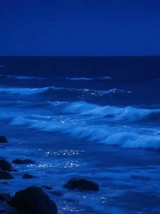 DFXEF의 날 버린 8명의 개