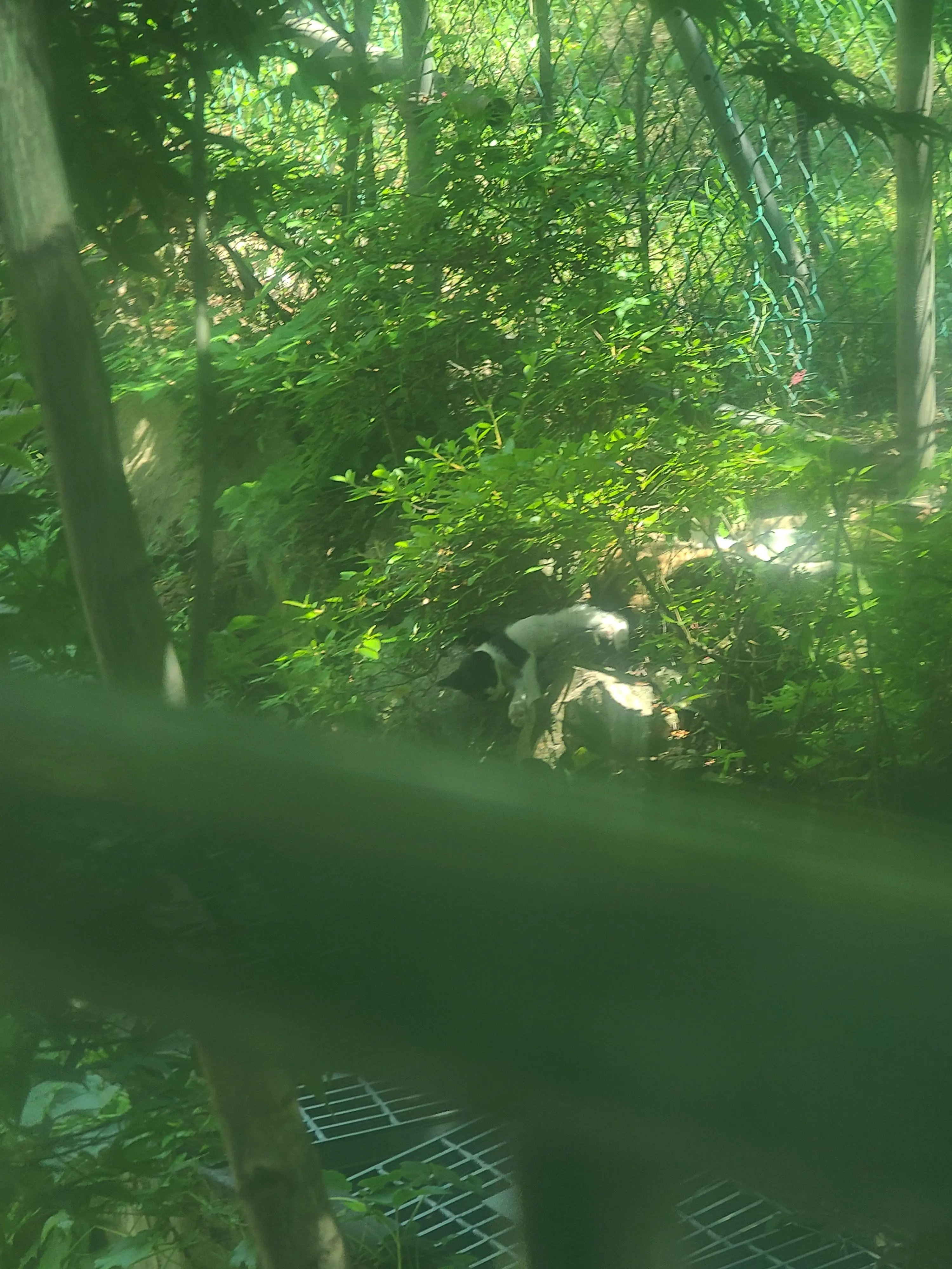 NMIXX_21의 오해원(근데 사촌누나인)