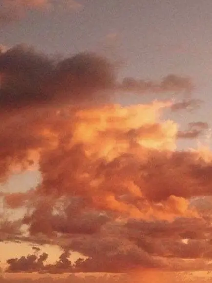 Mang_mango의 1214🐶