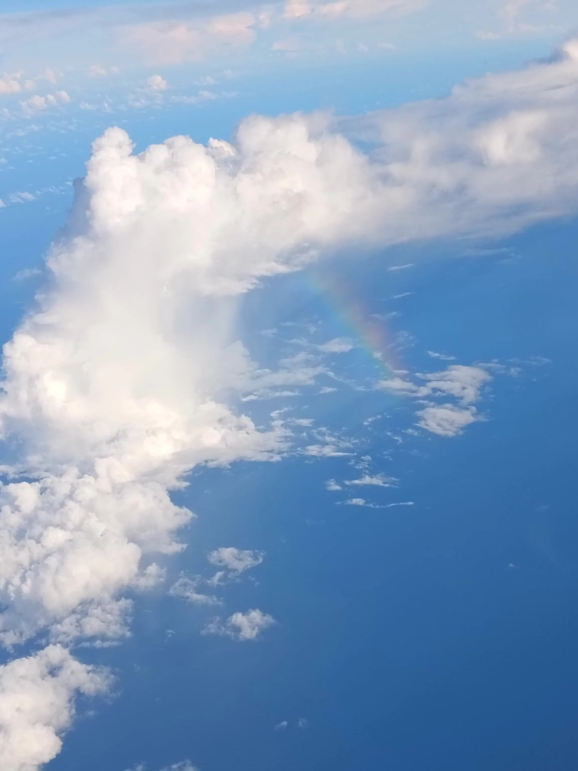 Diomaglaaaaaaa의 喧嘩中