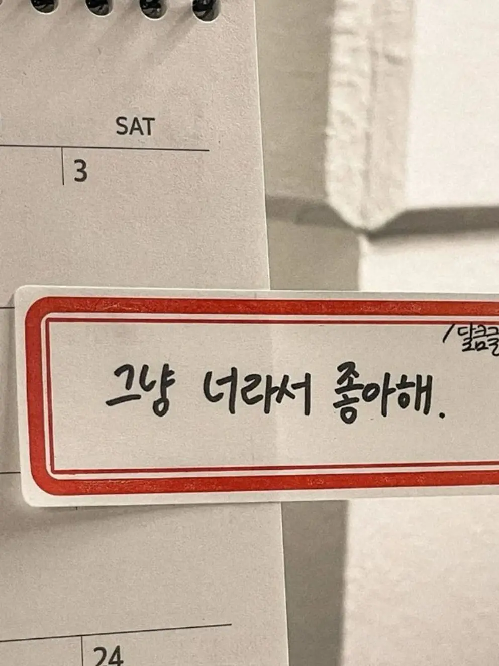 NuttyCoach4857의 좋아해줘 내 맘 이제 너도 알잖아