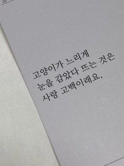 가나디 고먀미 대표 이미지