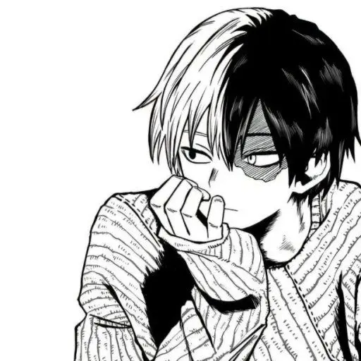 SorePuli8999의 토도로키 쇼토