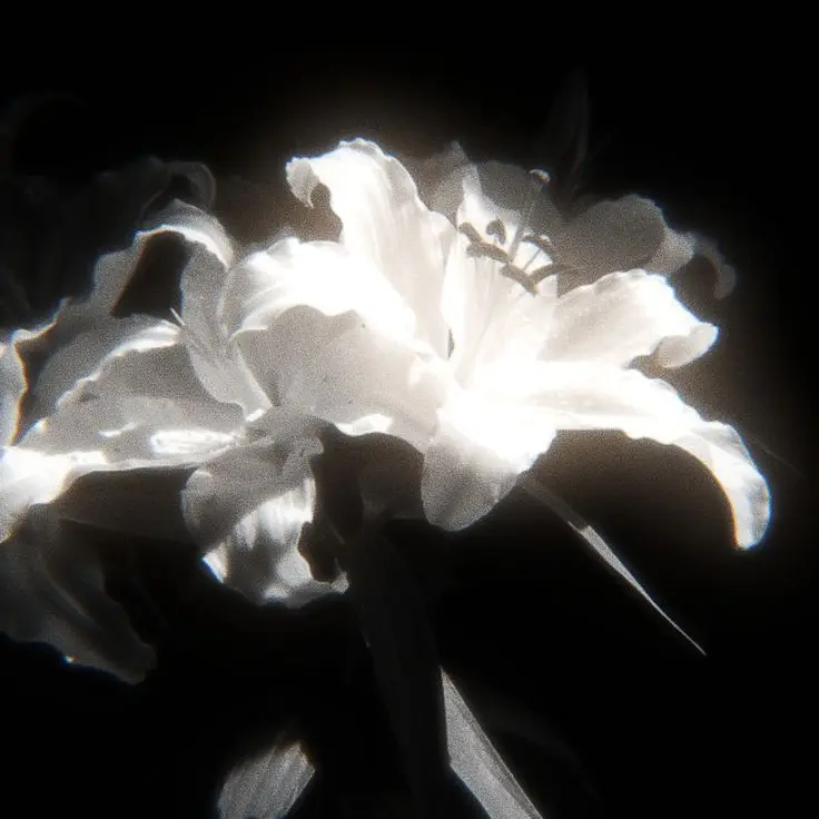 Satansseggi2의 imprecation.