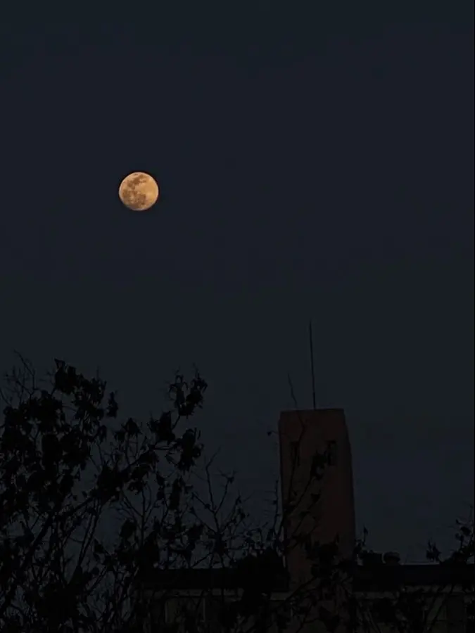 Tiiis2u의 최지우 [gl]