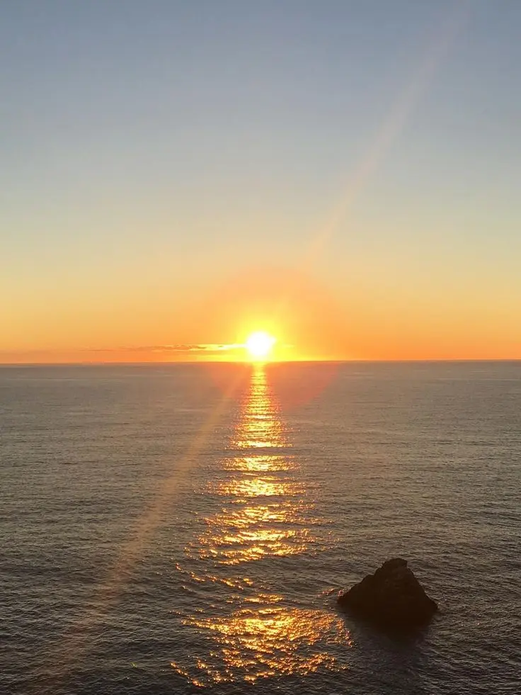 Sanano4208의 2月23日に消します