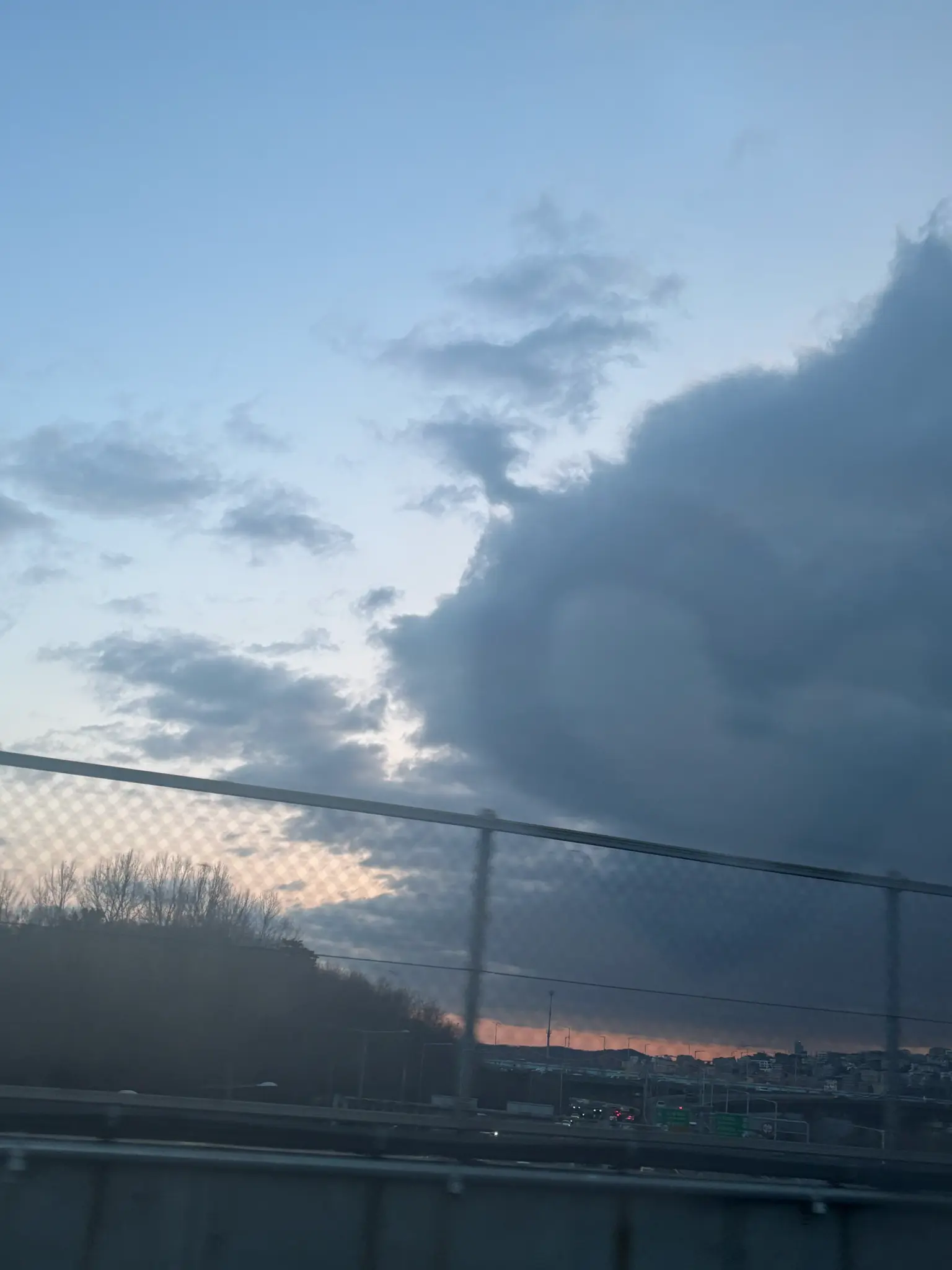 MorbidBean2376의 판사 이한영