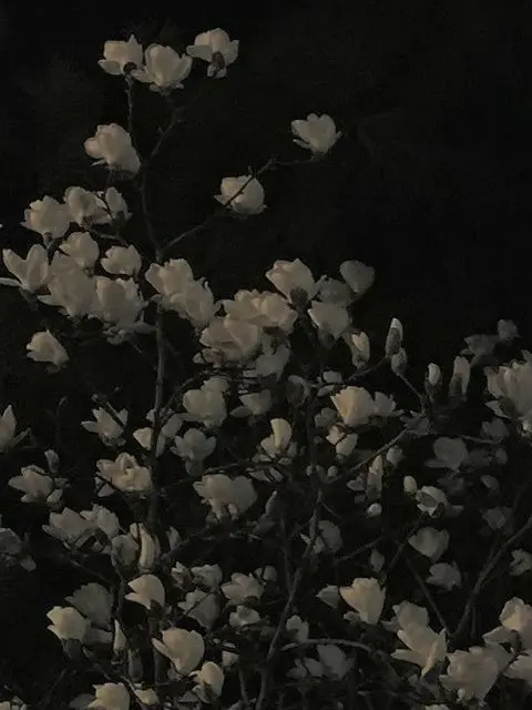 LouiLouiLoui의 박제가 되어버린 애인을 아시오?