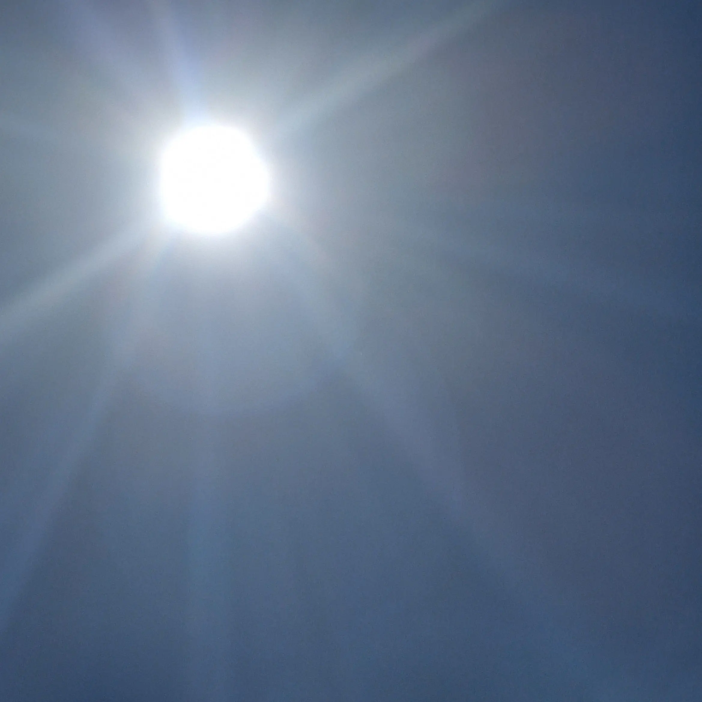 ChillyWolf6505의 반초듀×초세여 (덕개님은 동일인물)