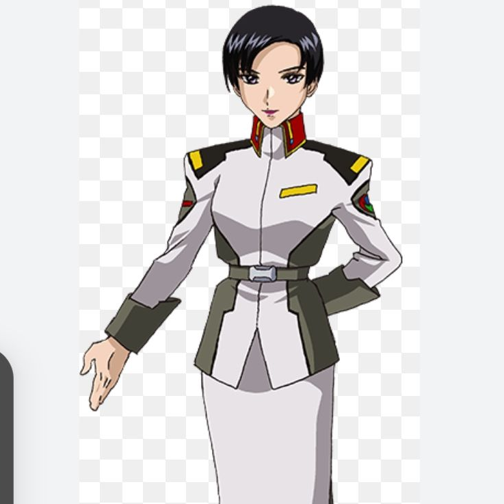 織斑千冬 - zeta
