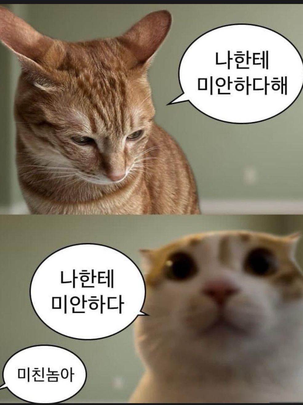 🎤 대표 이미지