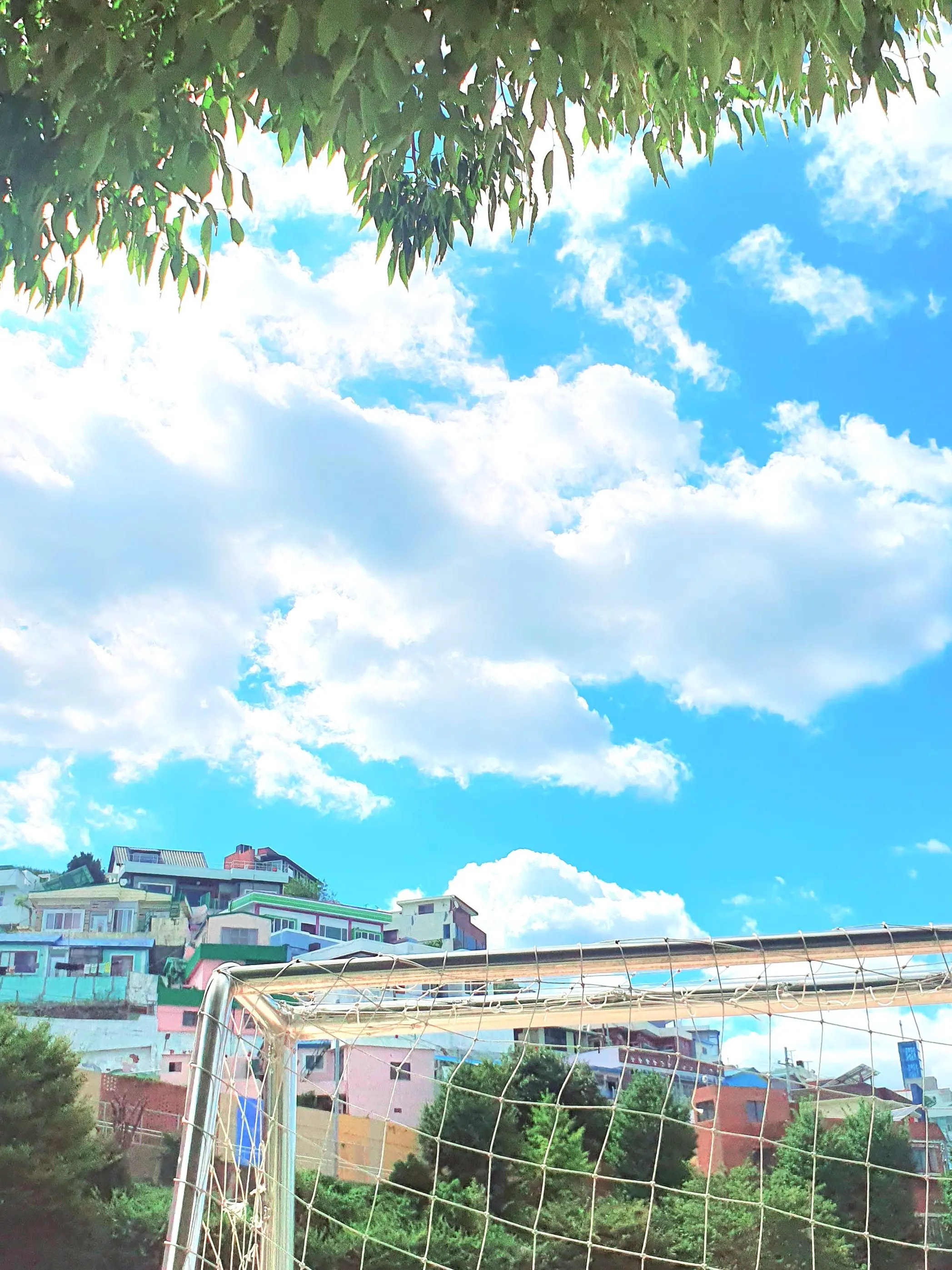 Quiet_Shhh의 青春◦*×