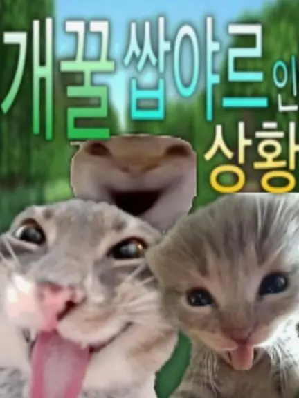lrene의 메복 야호~
